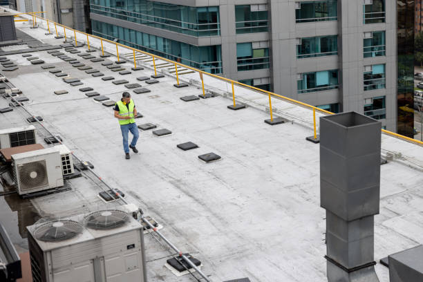 Best Roof Moss and Algae Removal  in Lauderdale By The Sea, FL