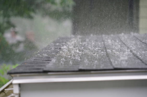 Best Green or Eco-Friendly Roofing Solutions  in Lauderdale By The Sea, FL