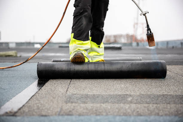 Best Roof Leak Repair  in Lauderdale By The Sea, FL