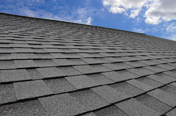 Best Storm Damage Roof Repair  in Lauderdale By The Sea, FL